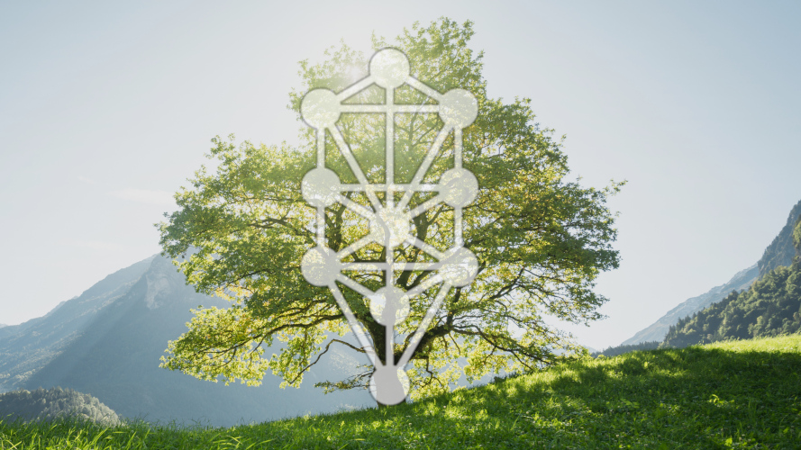 Arbre avec le schéma des 10 Séphiroth de l'Arbre de Vie en surimpression