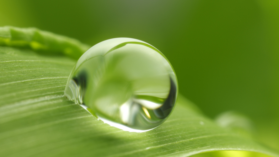 Goutte d'eau sur une feuille